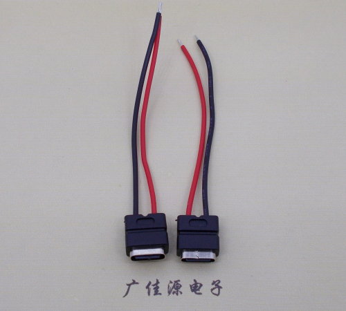 嘉兴type c2p防水母座焊线式带线注塑成型带接线端子/不带接线端子充电连接器